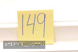 15BUCK_03779 thumbnail