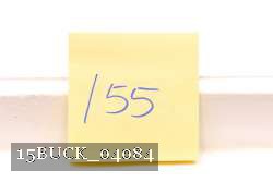 15BUCK_04084 thumbnail