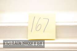 15BUCK_04434 thumbnail