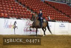 15BUCK_04471 thumbnail