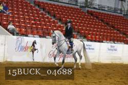 15BUCK_04688 thumbnail