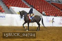 15BUCK_04724 thumbnail