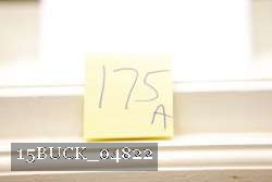 15BUCK_04822 thumbnail