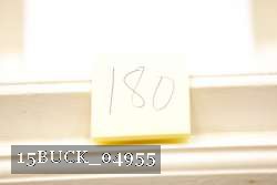 15BUCK_04955 thumbnail