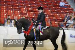 15BUCK_05042 thumbnail