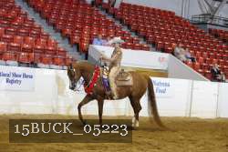 15BUCK_05223 thumbnail