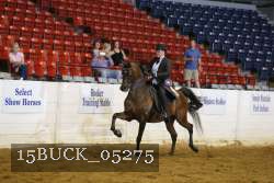 15BUCK_05275 thumbnail