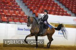 15BUCK_05276 thumbnail