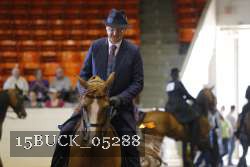15BUCK_05288 thumbnail