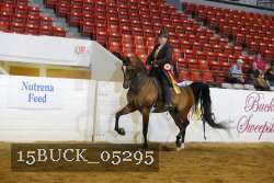 15BUCK_05295 thumbnail