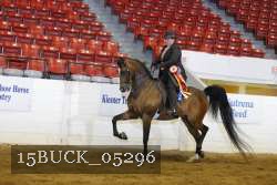 15BUCK_05296 thumbnail