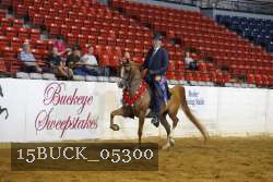 15BUCK_05300 thumbnail