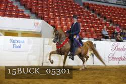 15BUCK_05301 thumbnail
