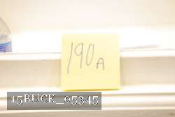 15BUCK_05345 thumbnail