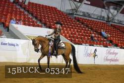 15BUCK_05347 thumbnail