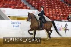 15BUCK_05623 thumbnail