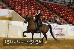 15BUCK_05638 thumbnail