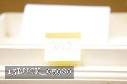 15BUCK_05980 thumbnail