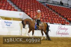 15BUCK_05992 thumbnail