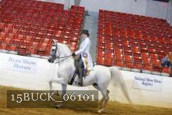 15BUCK_06101 thumbnail