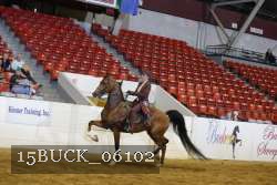 15BUCK_06102 thumbnail