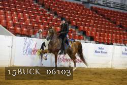 15BUCK_06103 thumbnail