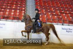 15BUCK_06104 thumbnail
