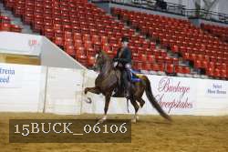 15BUCK_06106 thumbnail