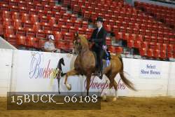 15BUCK_06108 thumbnail