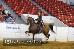 15BUCK_06110 thumbnail