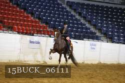 15BUCK_06111 thumbnail
