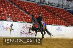 15BUCK_06113 thumbnail