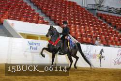 15BUCK_06114 thumbnail