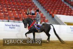 15BUCK_06129 thumbnail