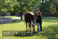 15BUCK_03773 thumbnail