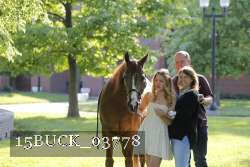 15BUCK_03778 thumbnail