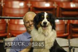 15BUCK_05245 thumbnail