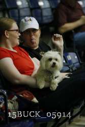 15BUCK_05914 thumbnail