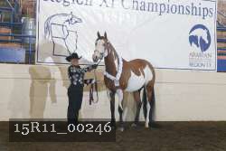 15R11_00246 thumbnail