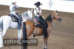 15R11_00288 thumbnail