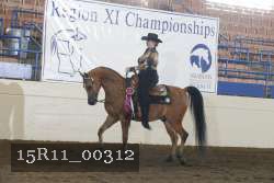 15R11_00312 thumbnail