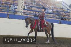 15R11_00332 thumbnail