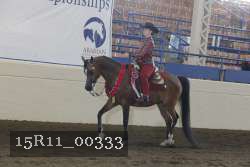 15R11_00333 thumbnail