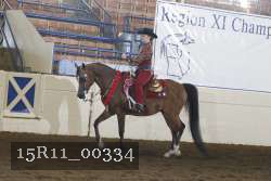 15R11_00334 thumbnail