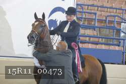 15R11_00473 thumbnail