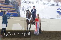 15R11_00478 thumbnail