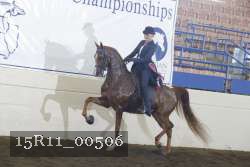 15R11_00506 thumbnail