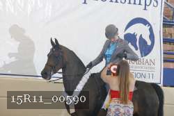15R11_00590 thumbnail