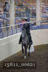 15R11_00621 thumbnail