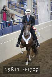 15R11_00709 thumbnail